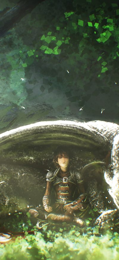Fond d'écran iPhone Toothless And Hiccup