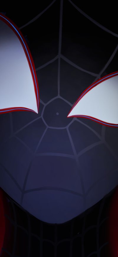 Fond d'écran iPhone Miles Spider Man