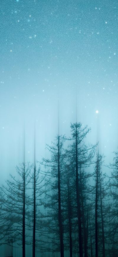 Fond d'écran iPhone Green Pine Trees Under Blue Sky 4k