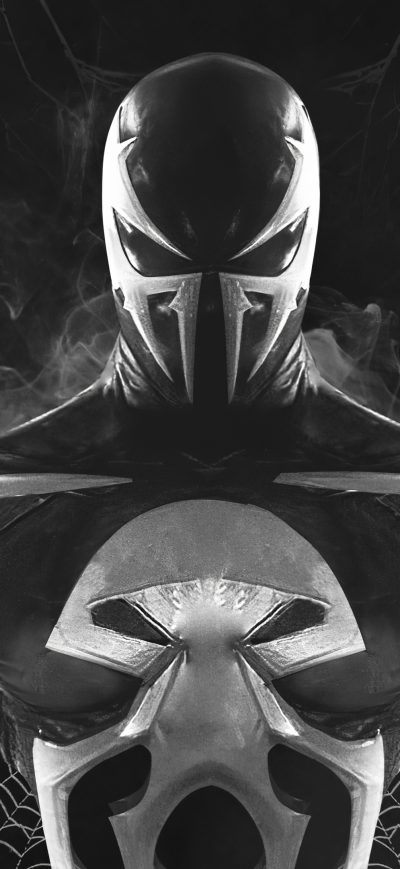 Fond d'écran iPhone Venom X Punisher