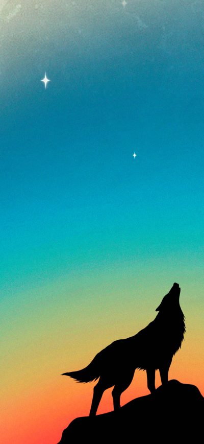Fond d'écran iPhone Wolf Howling Minimal 4k