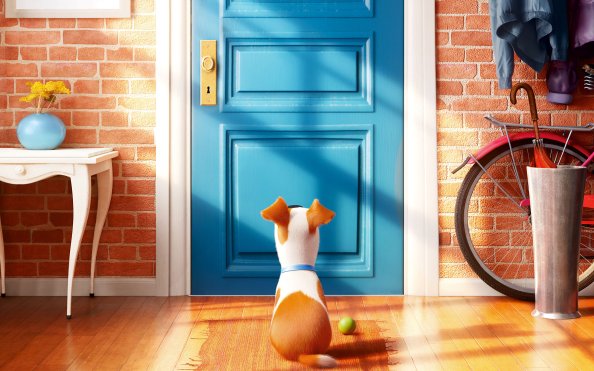 2016 The Secrete Life of Pets