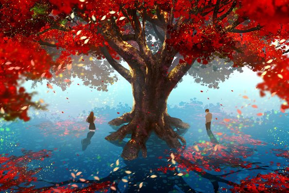 Love Memories With Tree 4k