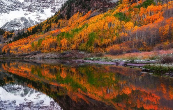 Fall Foliage Forest Lake Nature Reflection