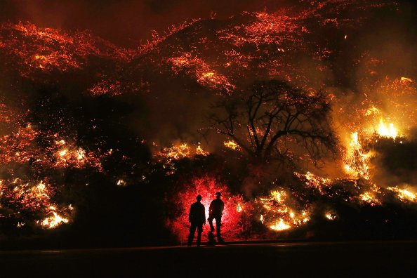 Two Man Standing In Front Of Forest Fire