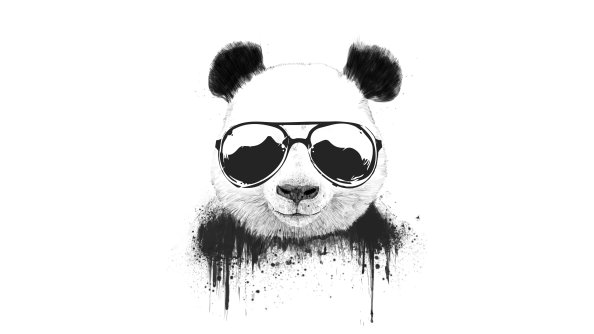 Stay Cool Panda