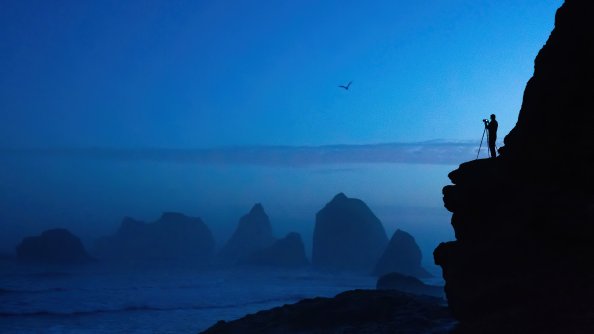 Capturing The Nature