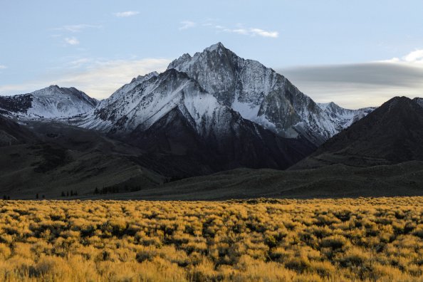 Sierra Nevada Range In Summer