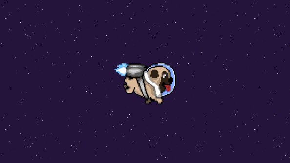 Pug Dog Minimalism