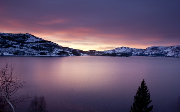 Landscape Snow