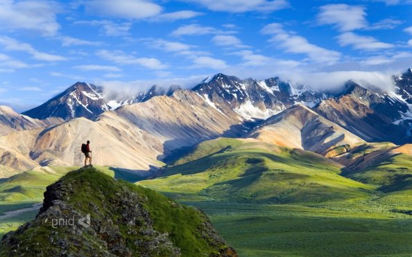 Denali National Park