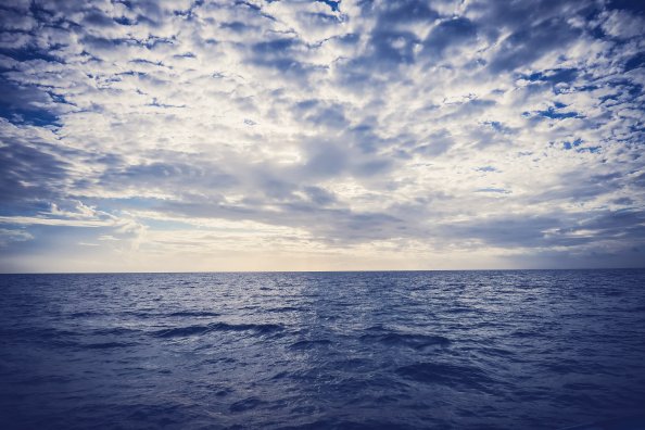 Sea Horizon 5k