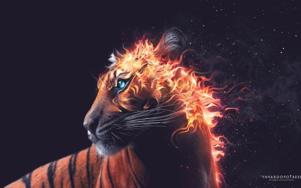 Tiger Fire Graphics