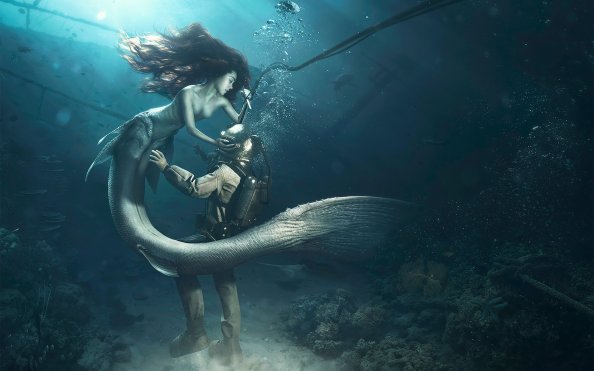 Diver and The Mermaid