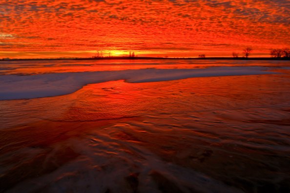 Red Paisagem