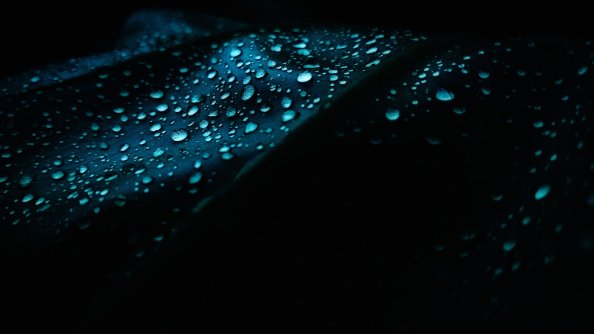 Leaf Dew Drops Droplet 4k