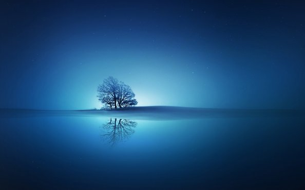 Blue Reflections