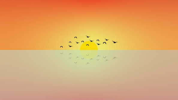 Birds Flying Sun Minimal 4k