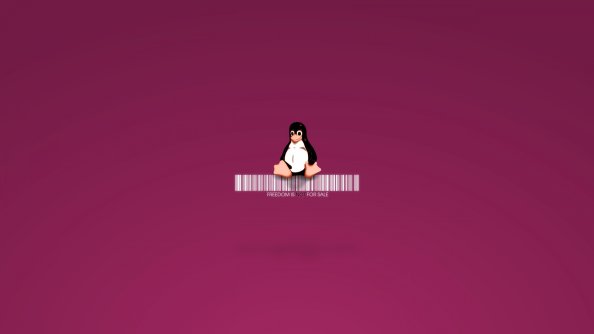 Linux Penguin