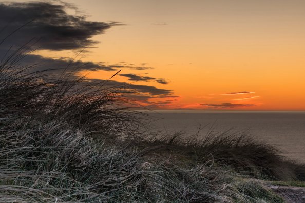 Grass Golden Sunset 5k