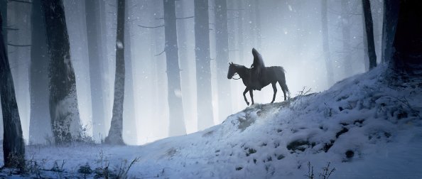Man Horse Walking Through Woods 4k