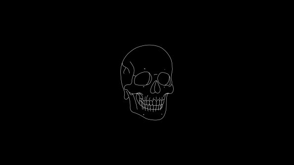 Skull Light Minimal 4k