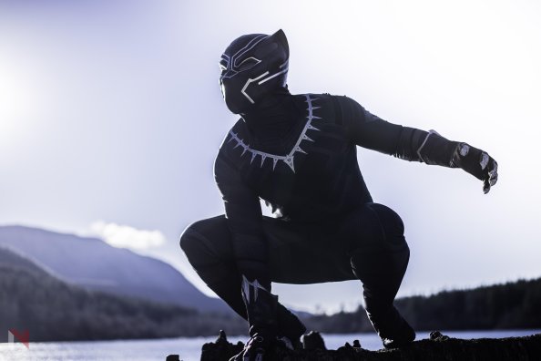 Black Panther The Protector Of Wakanda
