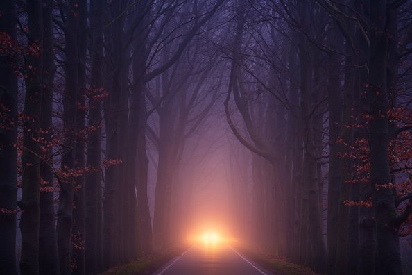 Car Light Road Autumn Trees Foggy Weather