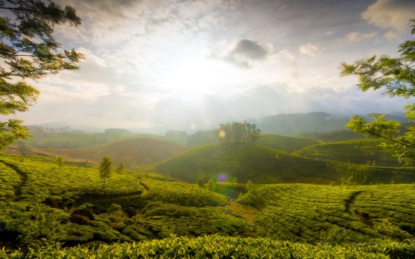 Munnar Hills India