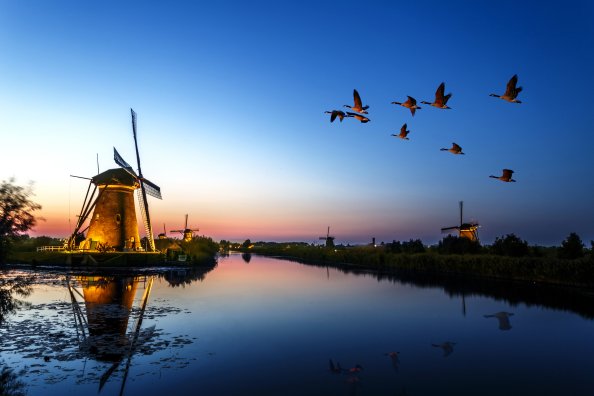 Windmill Birds Flying Evening Lake 4k