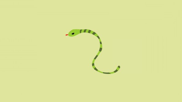 Snake Minimalism