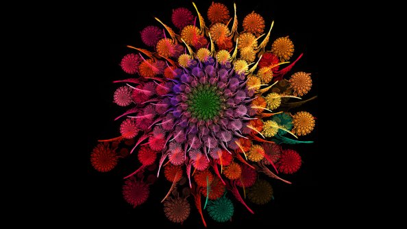 Rainbow Flower