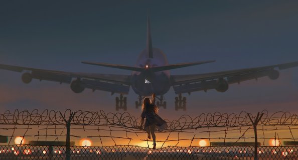 Catching The Flight 4k