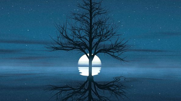 Moon Set Behind Tree