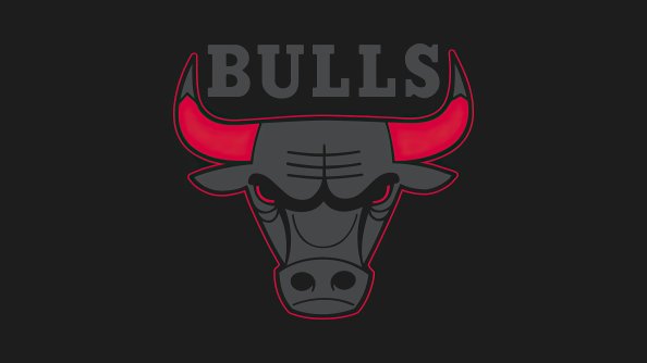 Chicago Bulls Logo