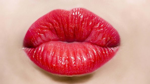 Lip
