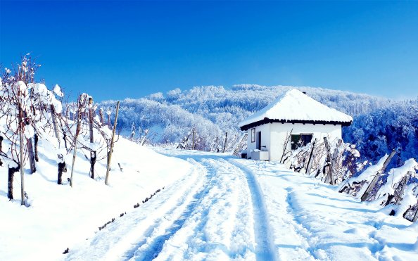 Snowy Cottage