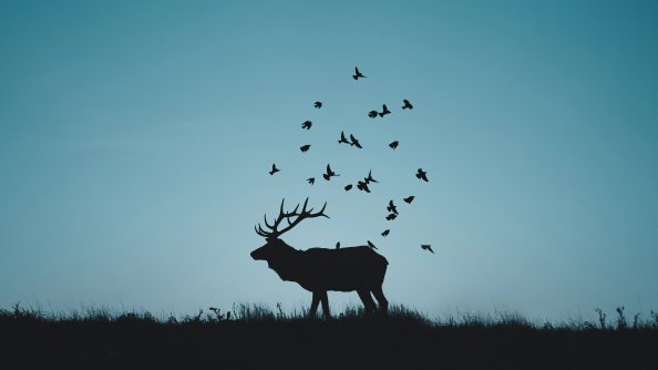 Reindeer Minimal Silhouette