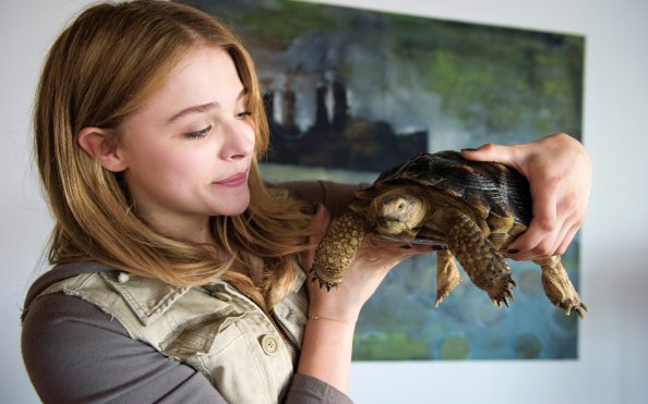 Chloe Moretz In Laggies