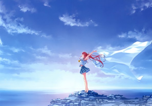 Deep Blue Sky And Pure White Wings