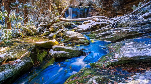 Wonderful Nature