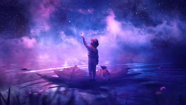 Traveller