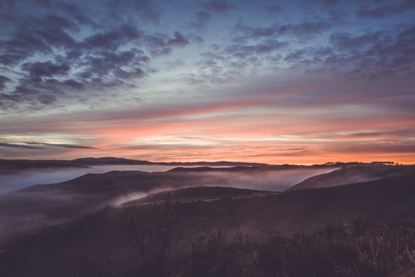 Nature Sky Trees 4k 5k