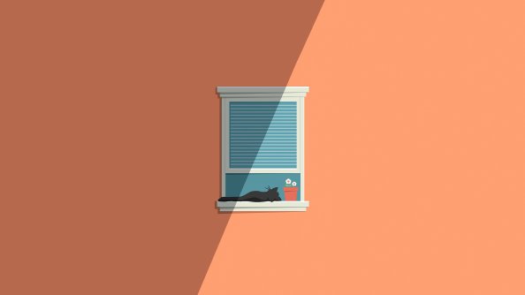 Cat Window Minimal 5k