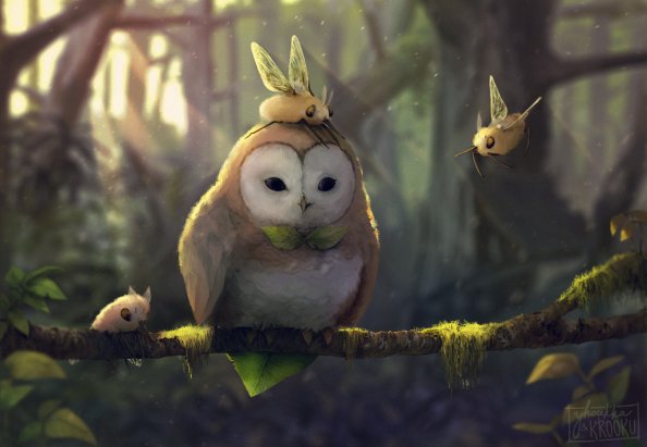 Tranquil Owl