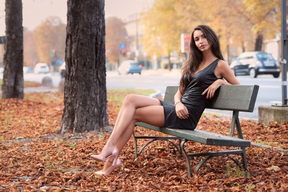 Gir Sitting Bench Autumn 4k