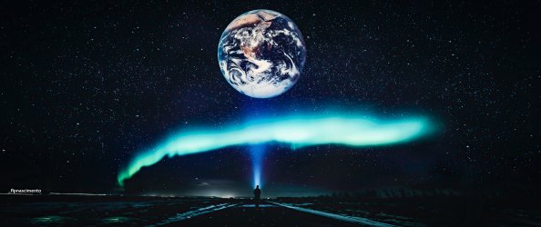 Boreal Exploration 4k