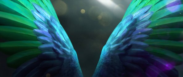 Angel Wings Nature Rush 4k