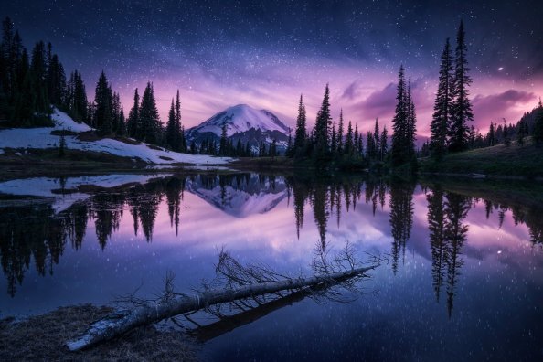 Lake Nature Night Reflection