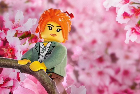 MISAKO The LEGO Ninjago Movie